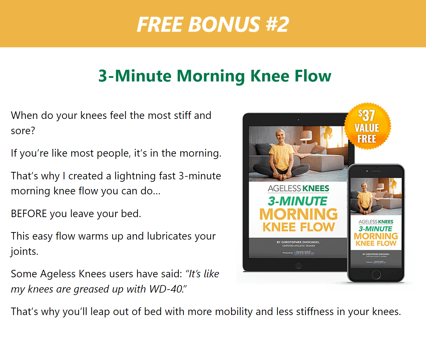 Ageless Knees Bonus-2